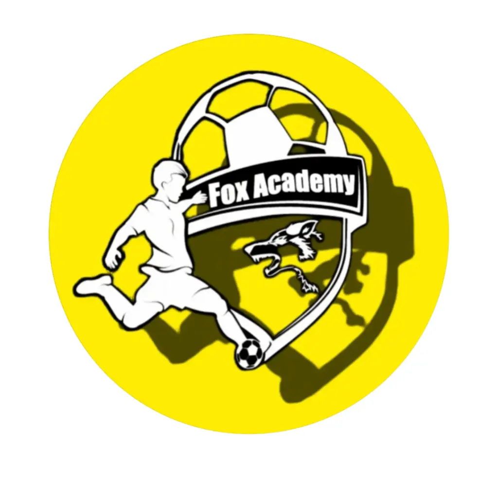 أكادمية فوكس